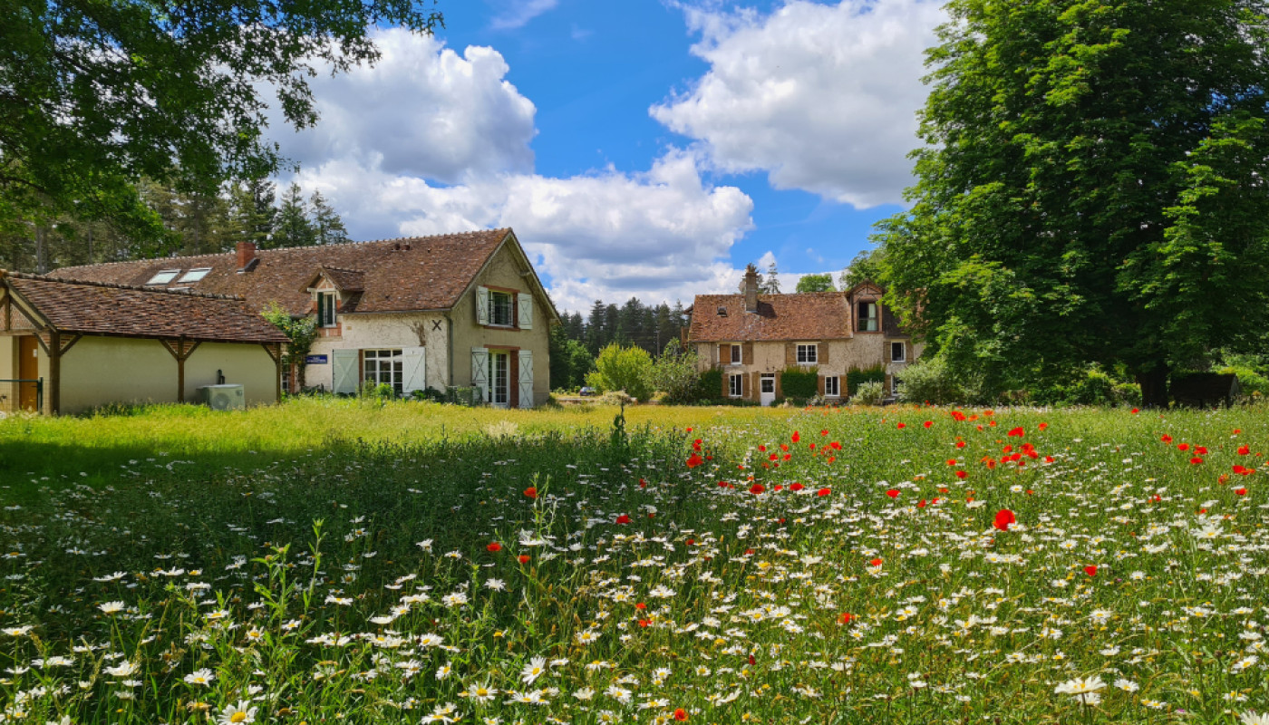 Location près de Blois : à 30 minutes, ouvrez les portes d’un domaine en pleine nature !